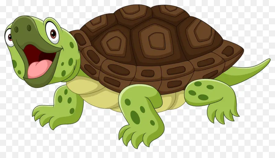 Tortue De Dessin Animé，Reptile PNG