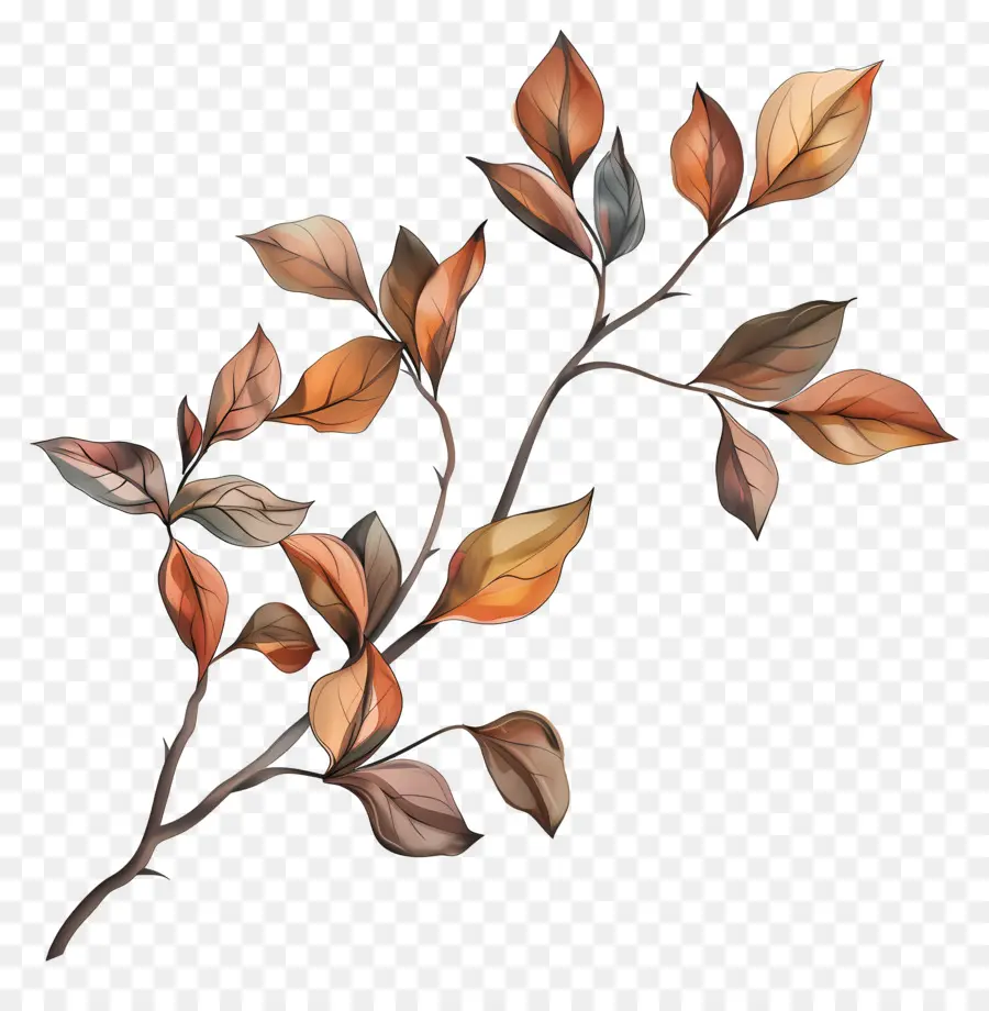 Feuilles Sur Branche，Feuilles D'automne PNG