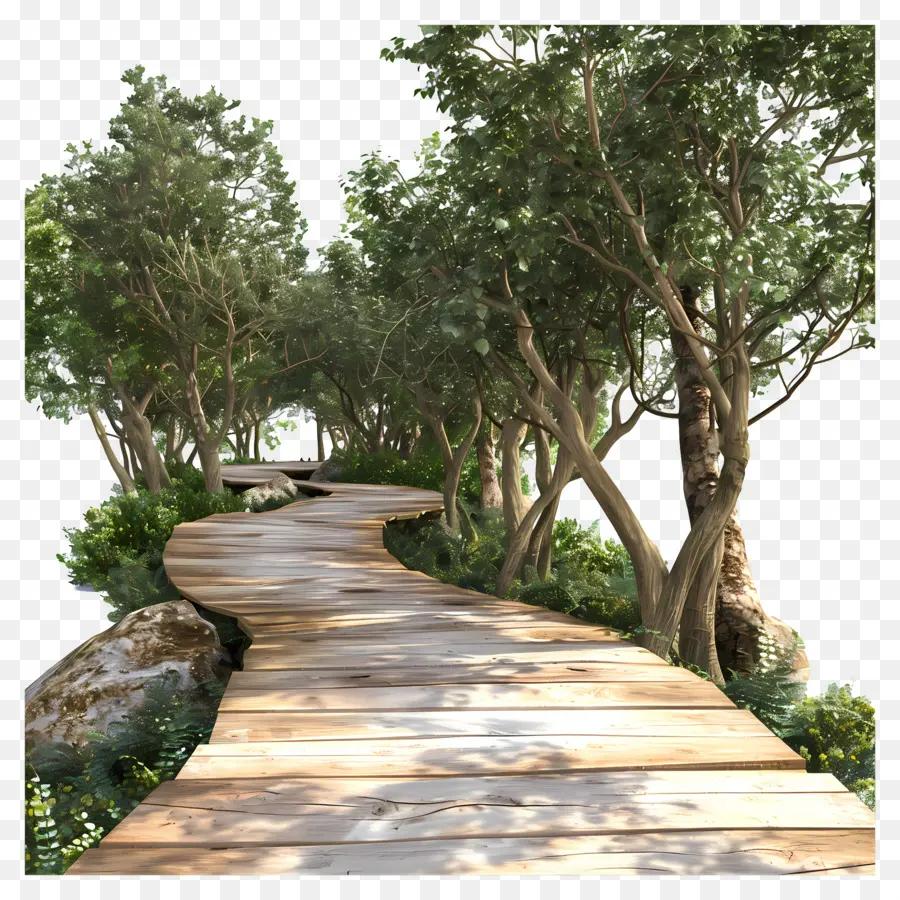 Passerelle Forestière，Chemin En Bois PNG