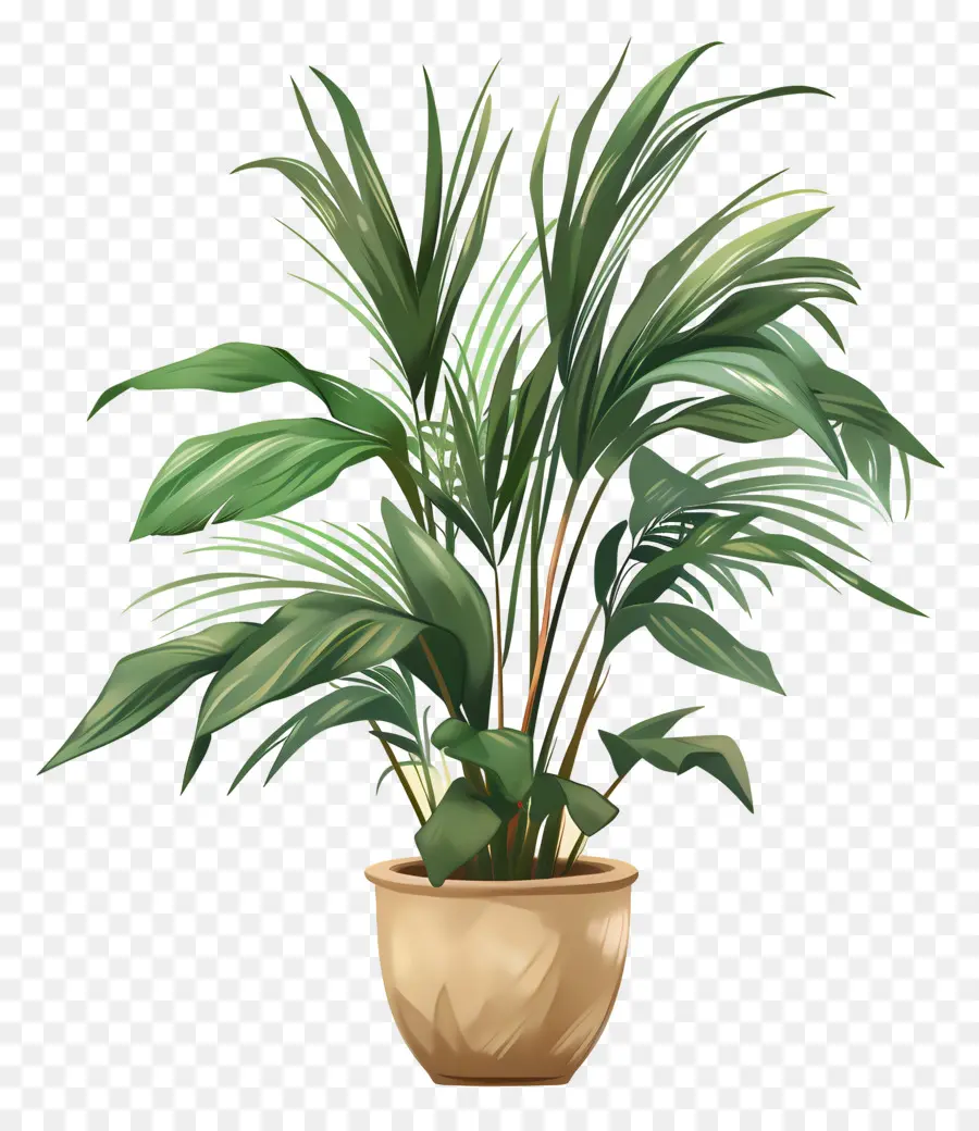 Plante D'intérieur，Plante En Pot PNG