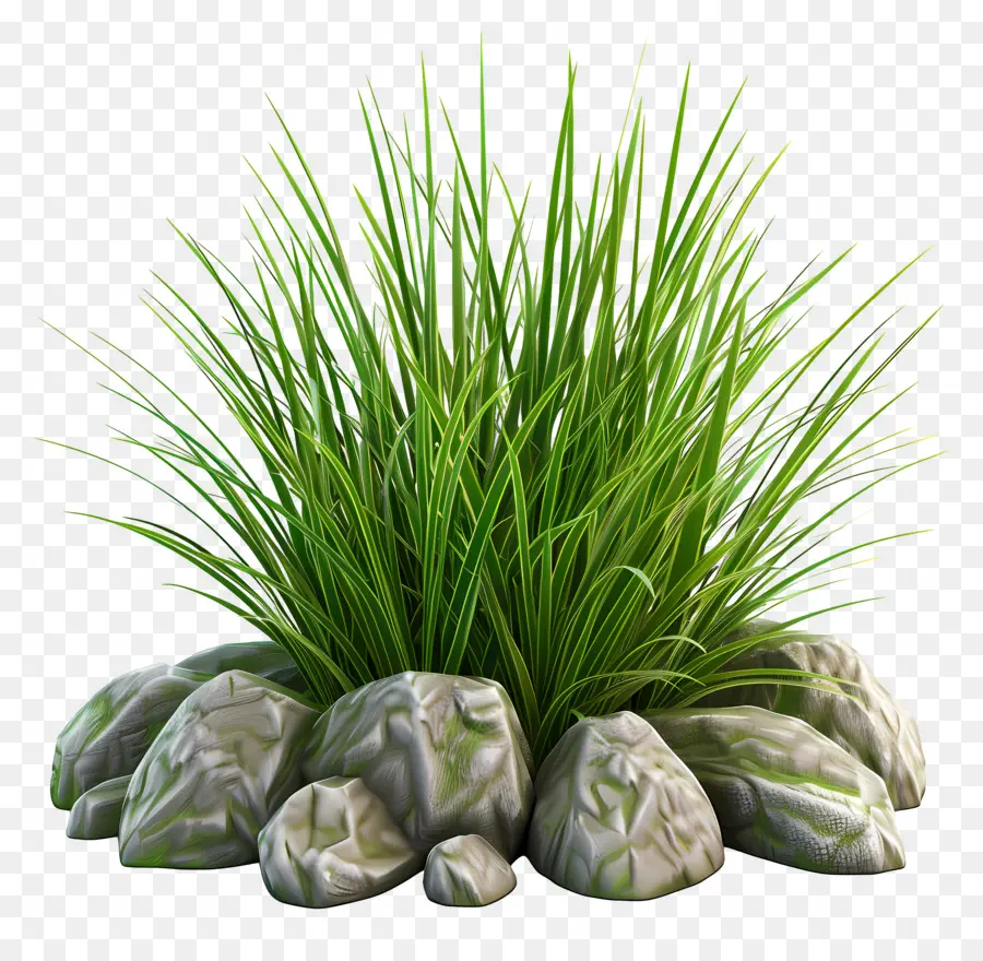 Buisson D'herbe，Herbe Et Rochers PNG