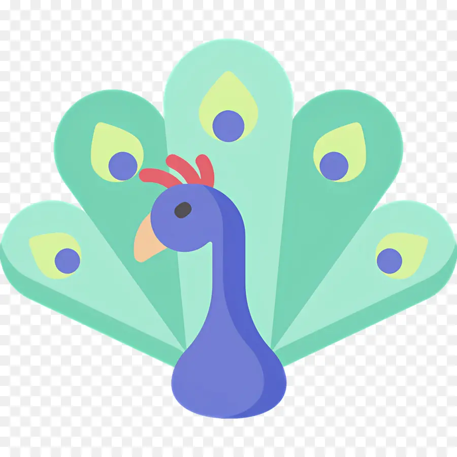 Paon，Plumes PNG