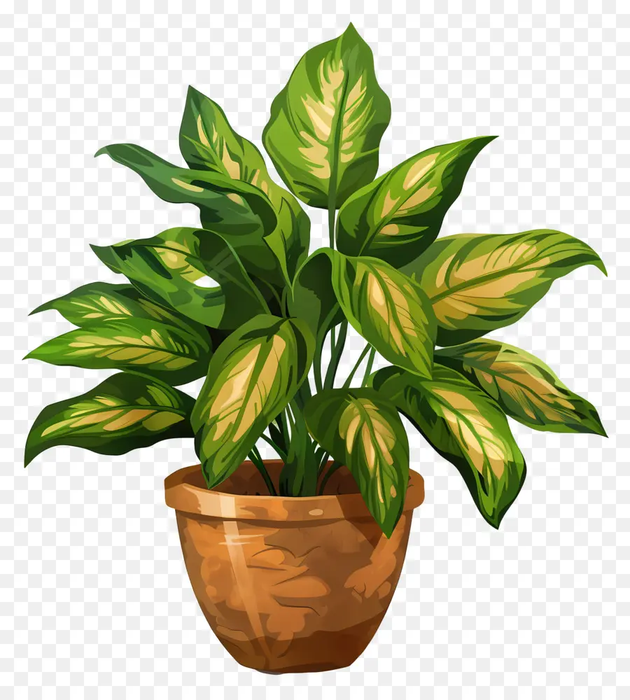 Plante D'intérieur，Plante Verte PNG