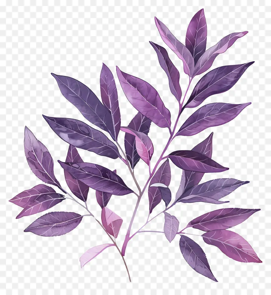 Fond Violet，Feuilles Roses PNG