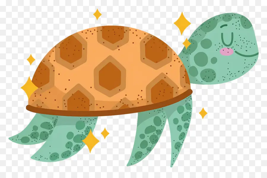 Tortue De Dessin Animé，Tortue PNG