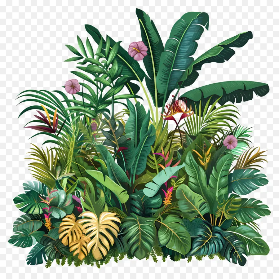 Plantes De La Jungle，Plantes Tropicales PNG