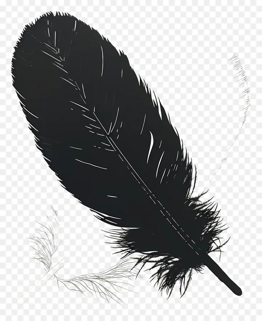 Plume，Oiseau PNG