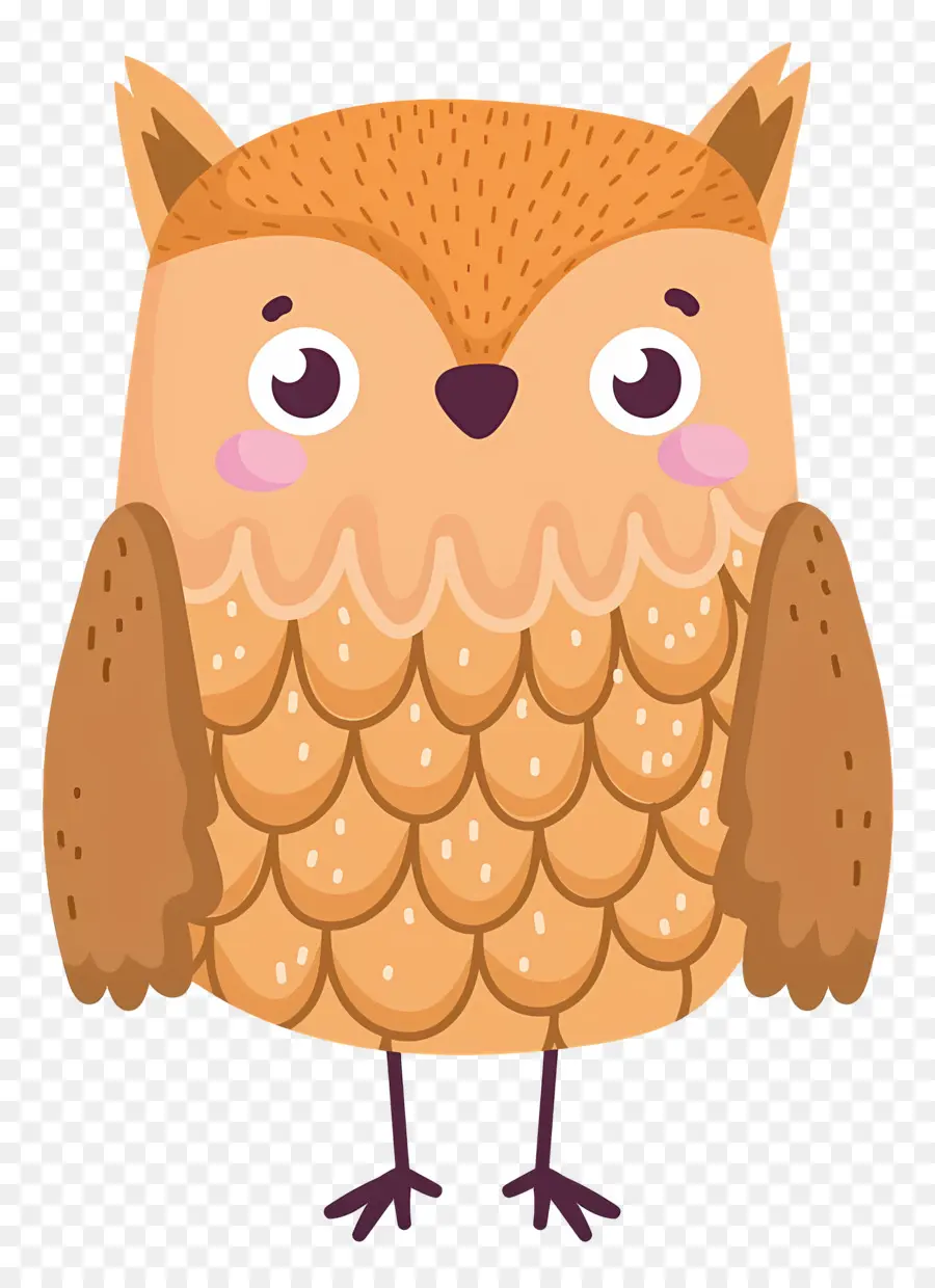 Chouette Mignonne，Hibou PNG