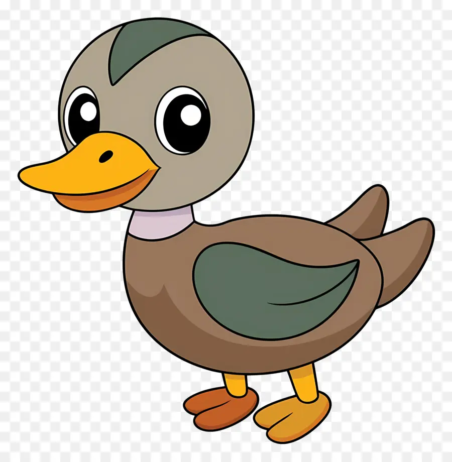 Canard De Dessin Animé，Canard PNG