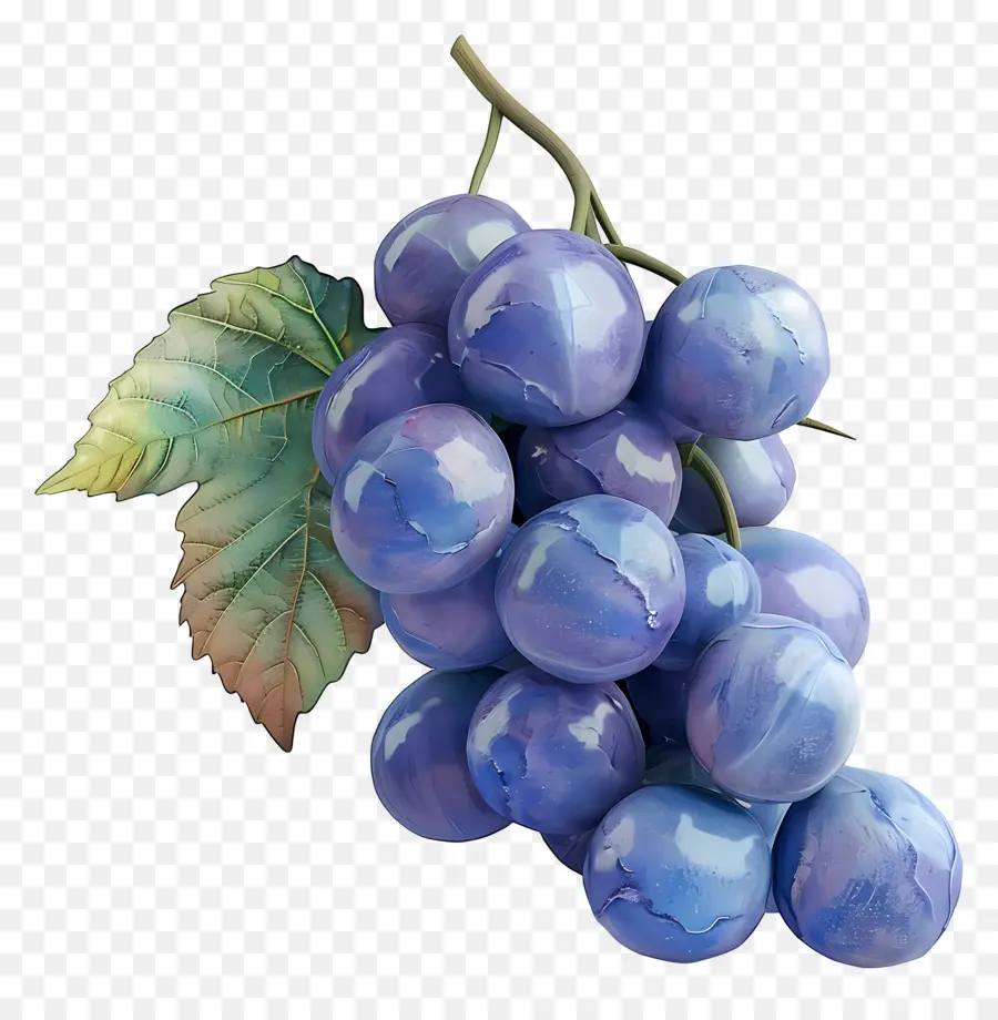 Grappe De Raisin，Raisins PNG