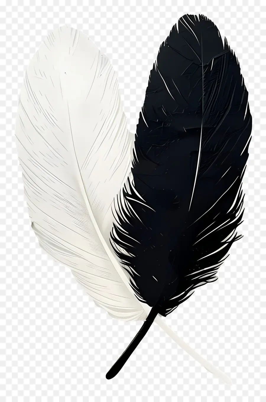 Plume，Plumes PNG