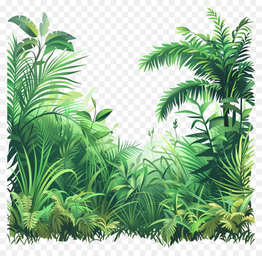 Paysage D'herbe，Jungle Verte PNG