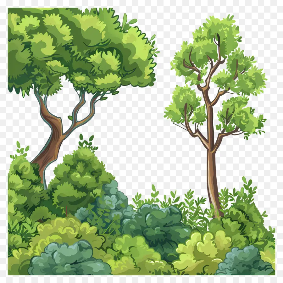 Fond Naturel，Arbre PNG