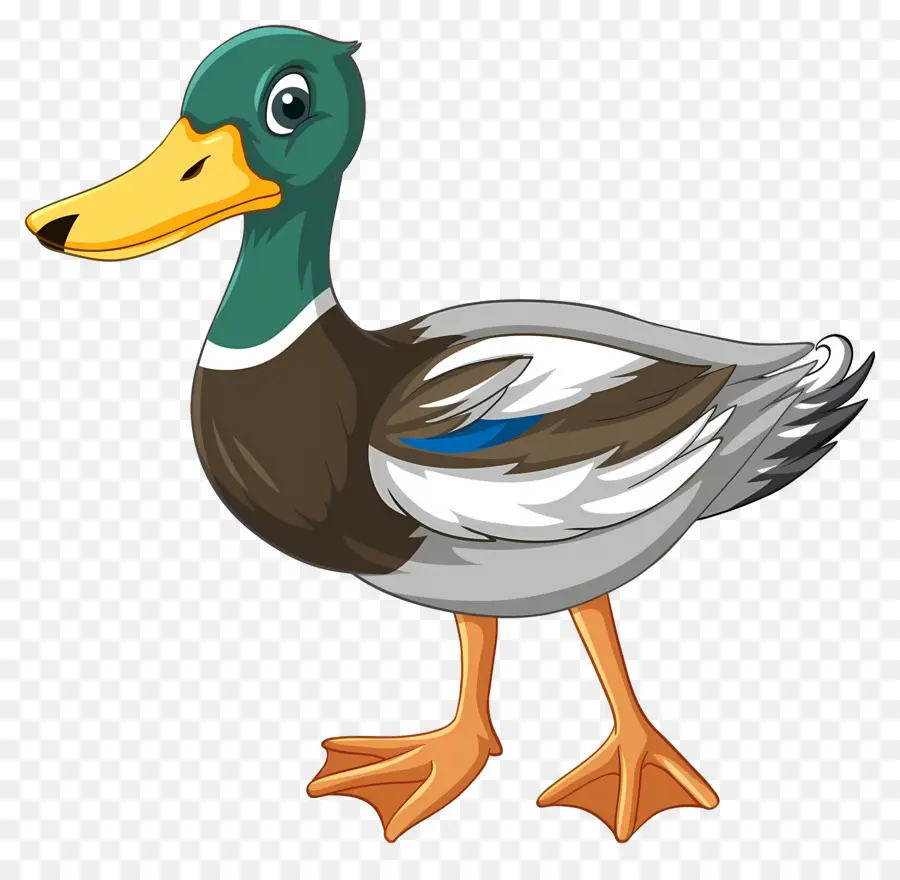 Canard De Dessin Animé，Canard PNG