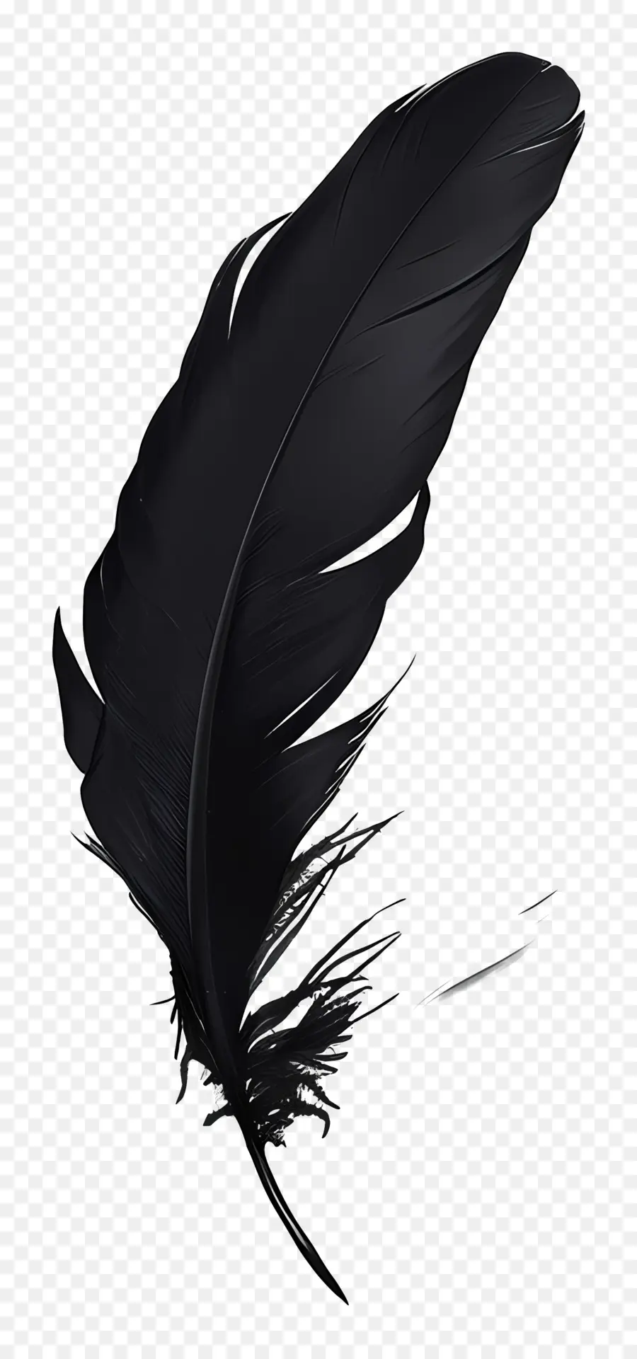 Plume，Noir PNG