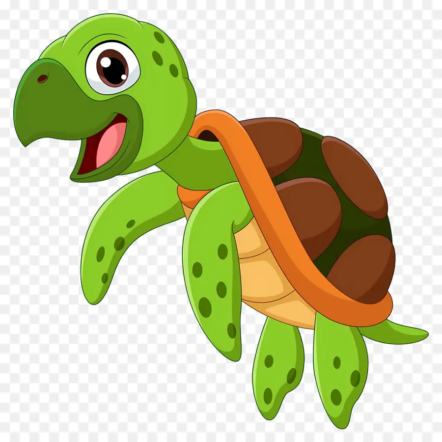 Tortue De Dessin Animé，Vert PNG