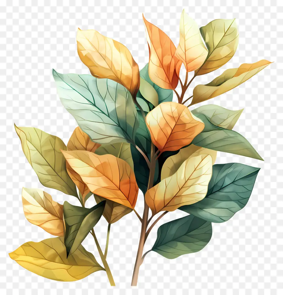 Bouquet De Feuilles，Feuilles PNG