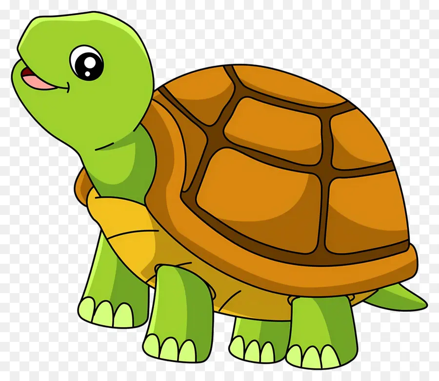 Tortue De Dessin Animé，Tortue PNG