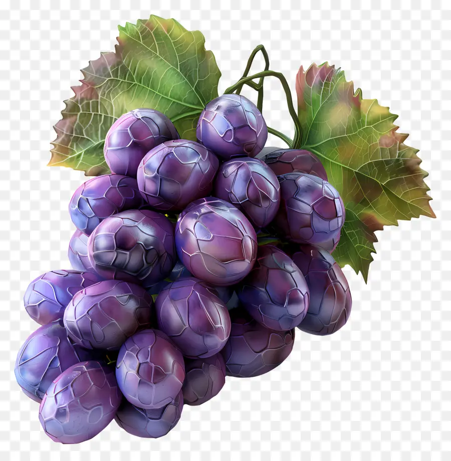 Grappe De Raisin，Raisins PNG