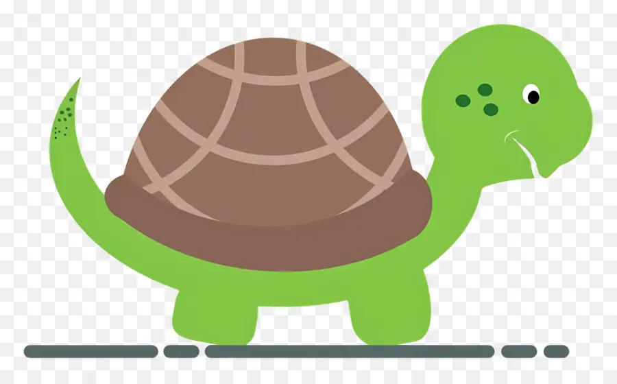 Tortue De Dessin Animé，Tortue Verte PNG