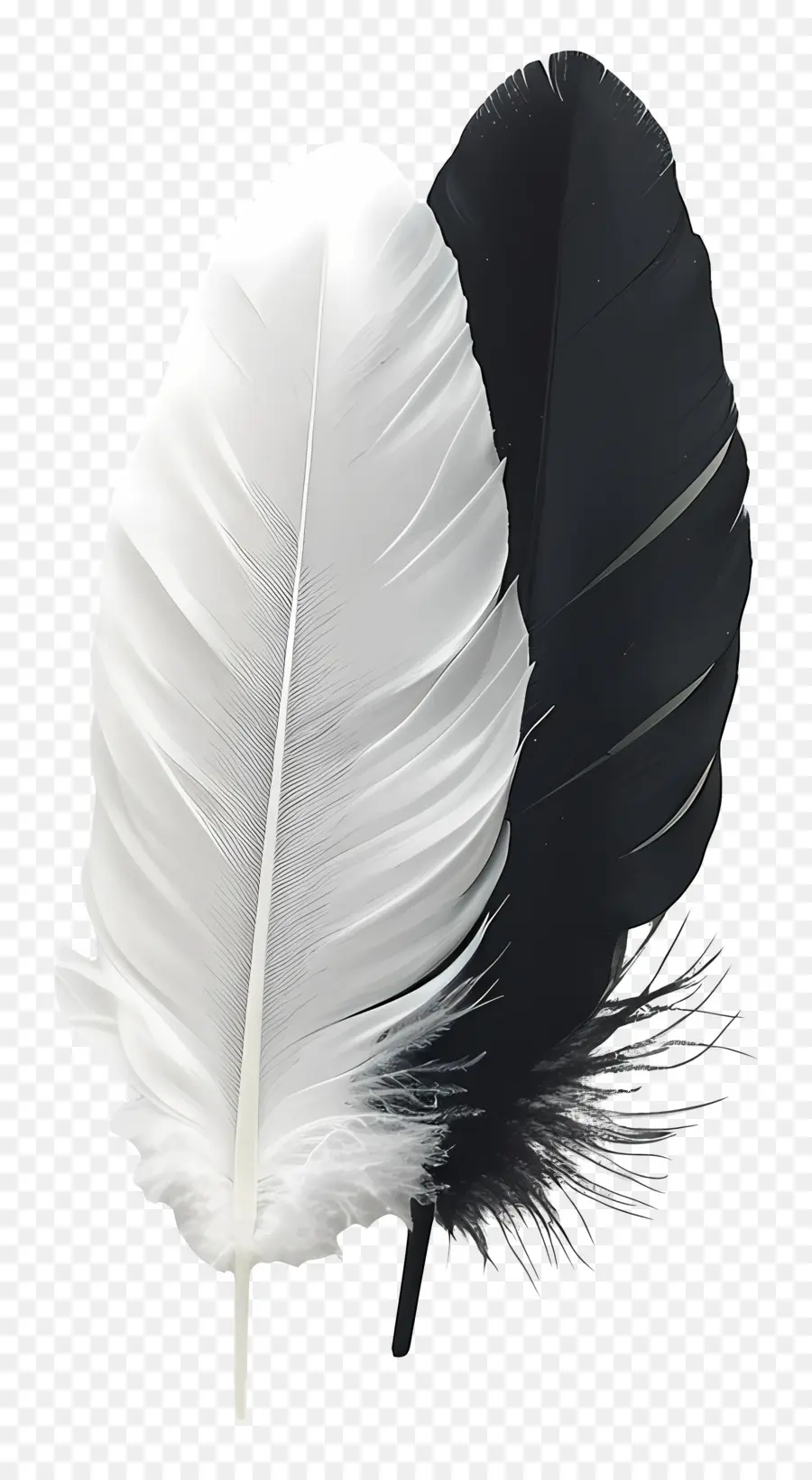 Plume，Plumes PNG