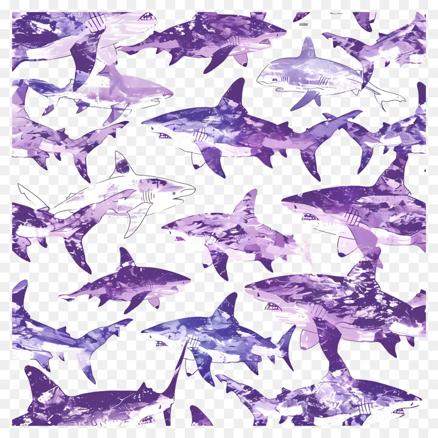 Modèle De Requin，Requins PNG