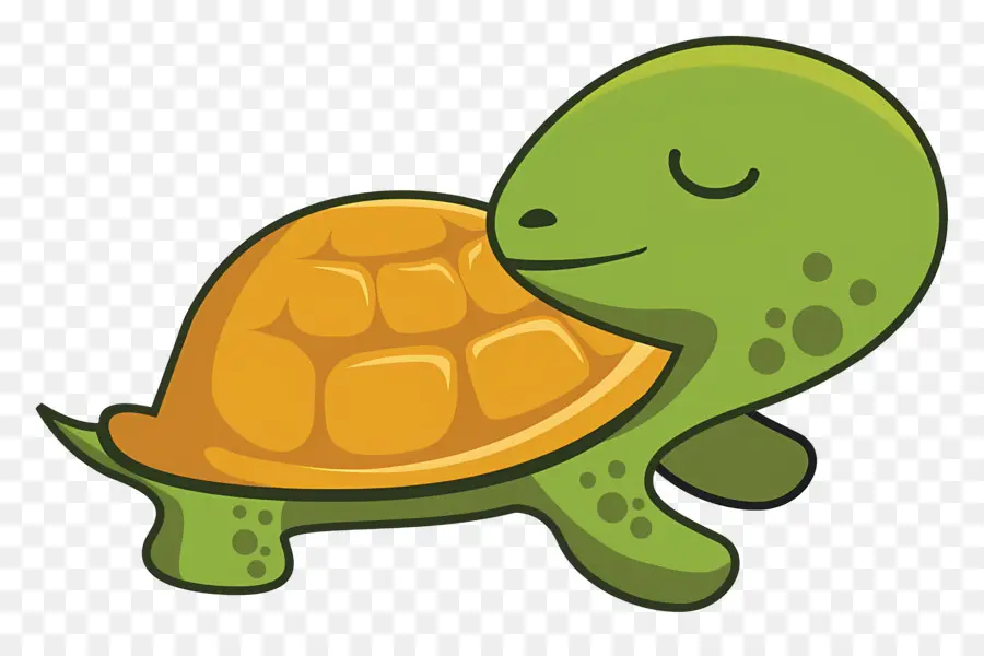 Tortue De Dessin Animé，Reptile PNG