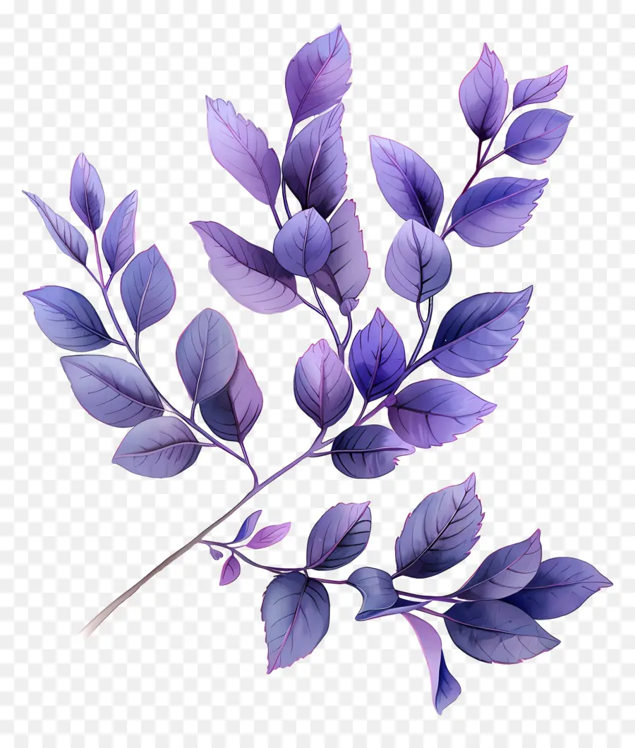 Fond Violet，Plante Sombre PNG