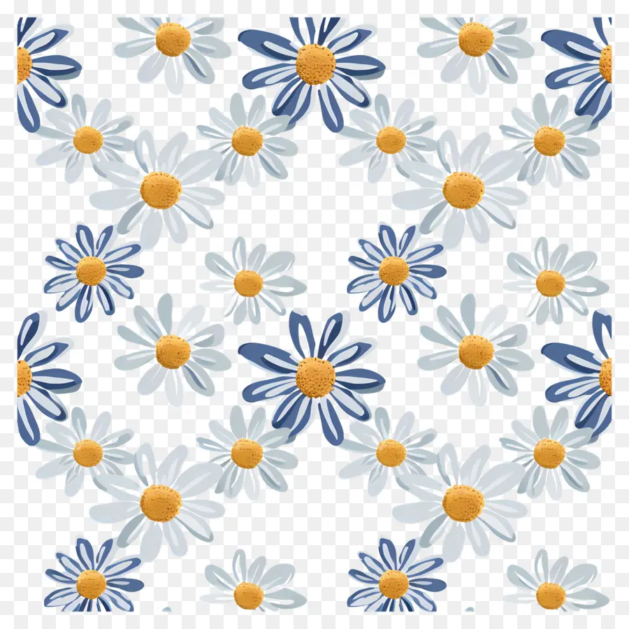 Motif De Marguerites，Marguerites PNG