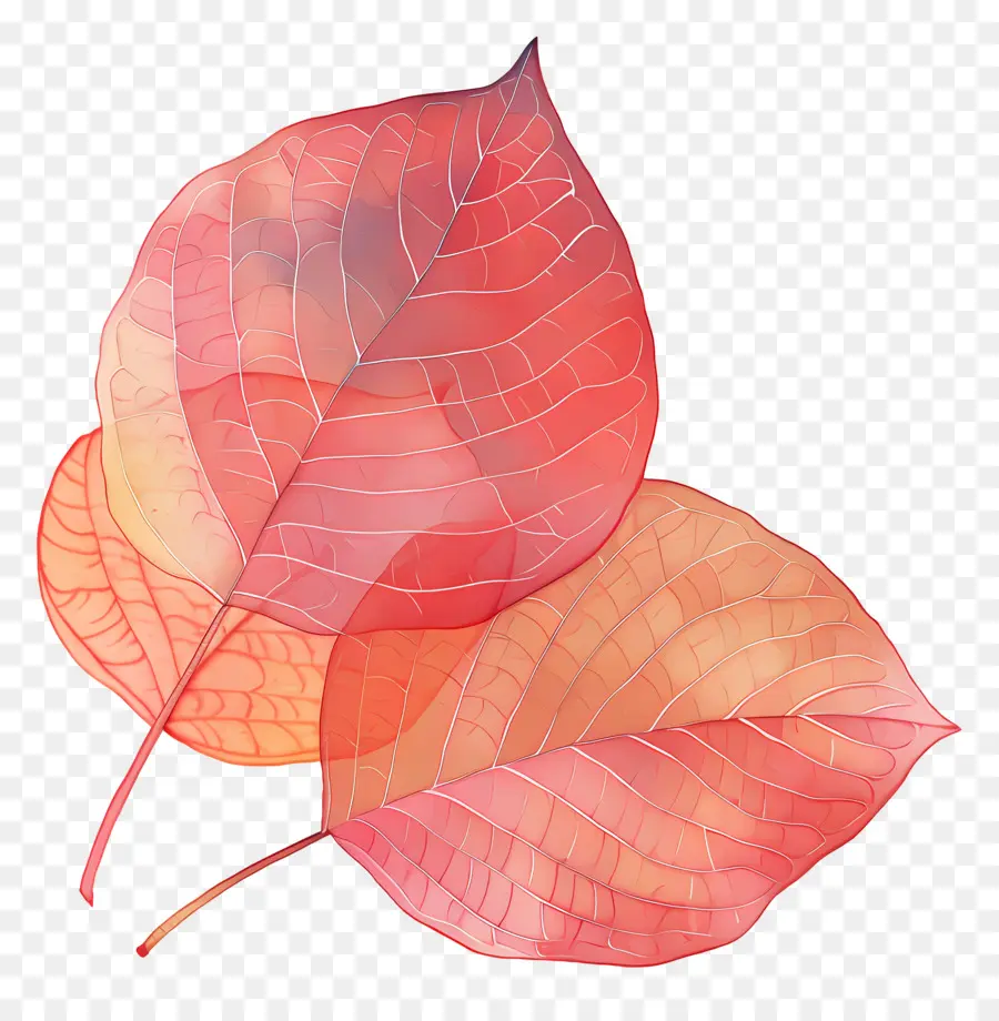 Fond D'automne，Feuille D'automne PNG