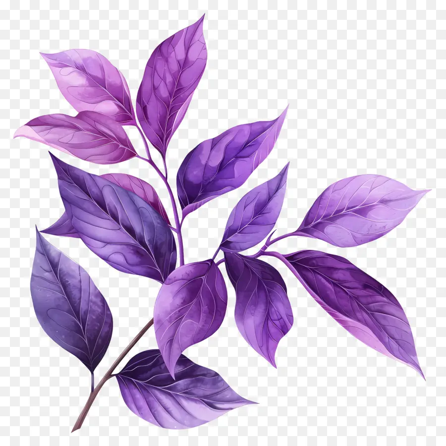 Fond Violet，Feuilles Violettes PNG