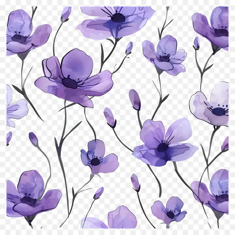 Fond Violet，Fleurs Violettes PNG