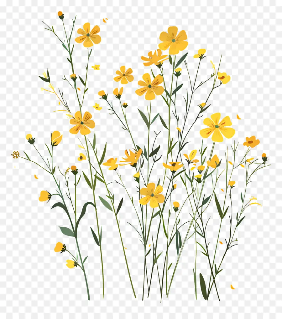 Fond De Fleurs，Fleurs Jaunes PNG