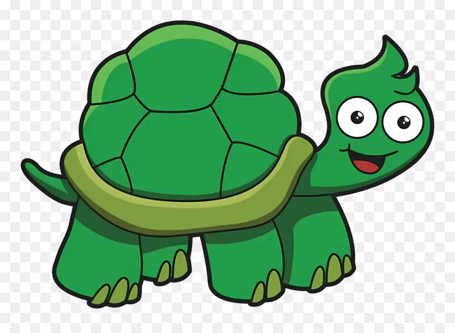 Tortue De Dessin Animé，Tortue PNG