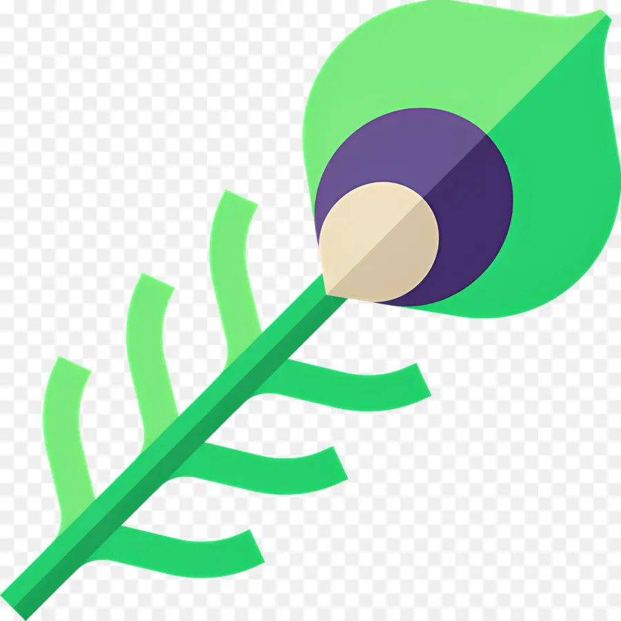 Plume De Paon，Feuille Verte PNG