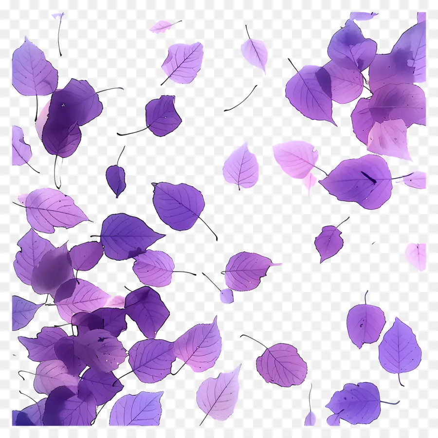 Fond Violet，Feuilles Violettes PNG