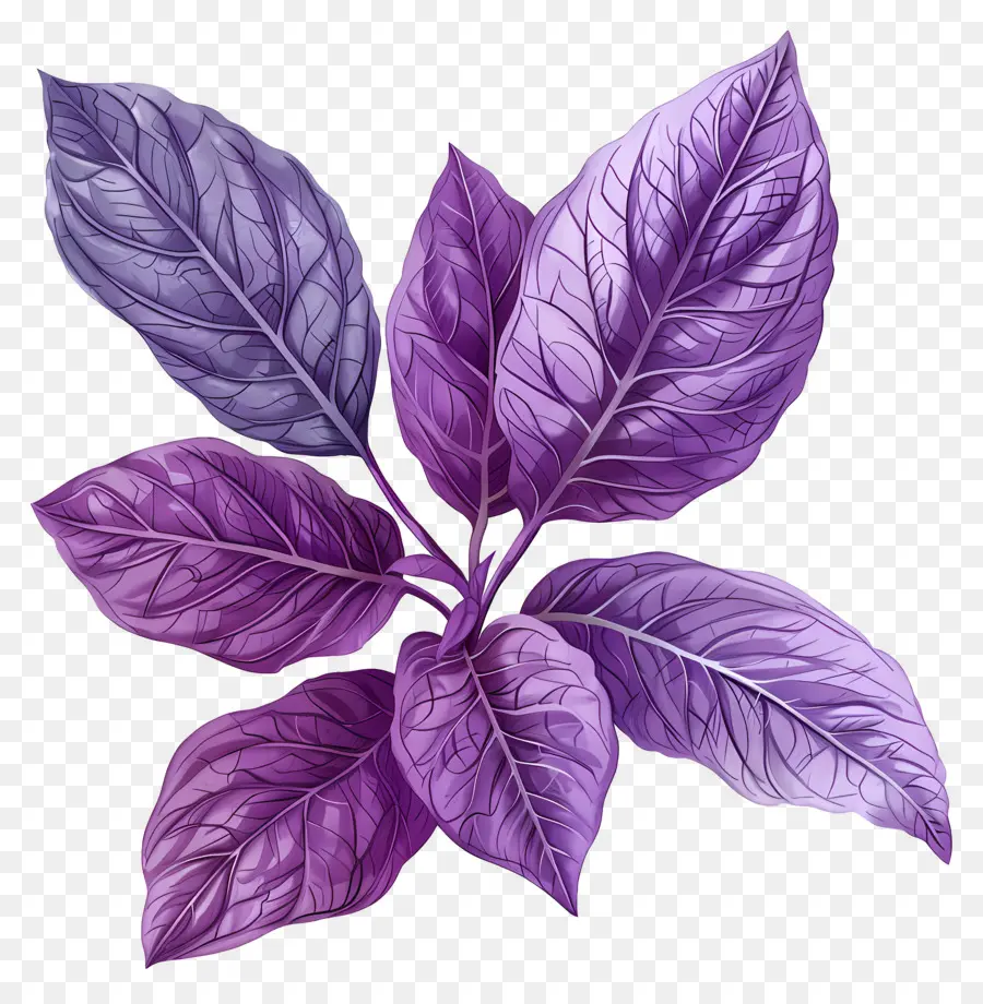 Fond Violet，Feuilles Violettes PNG