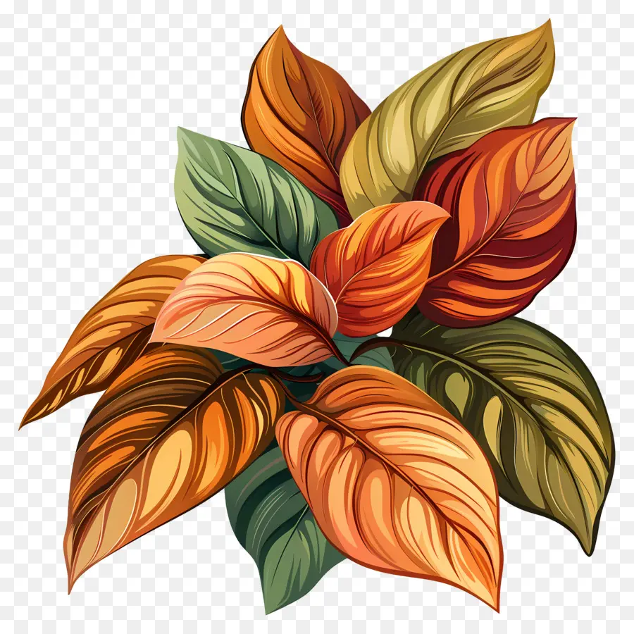 Bouquet De Feuilles，Feuilles Colorées PNG