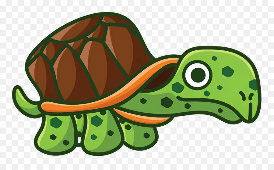 Tortue De Dessin Animé，Reptile PNG