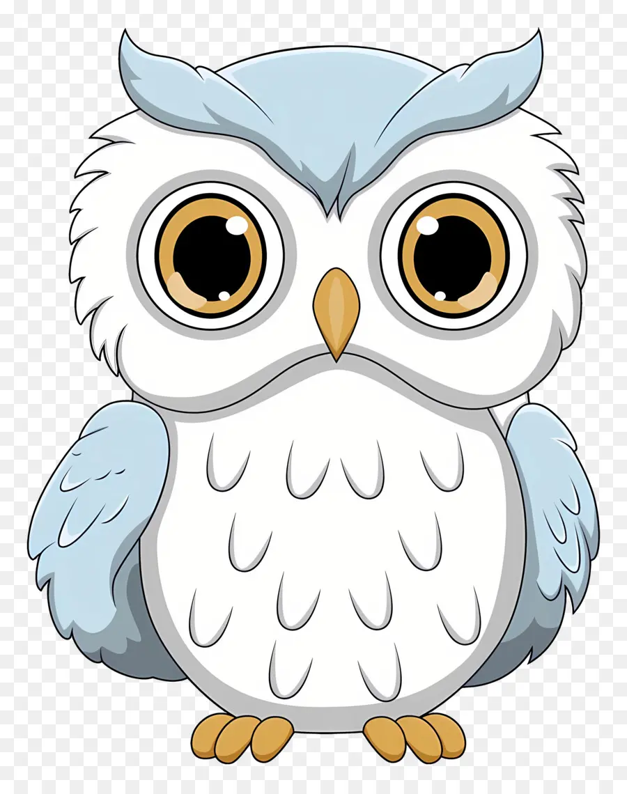 Chouette Mignonne，Hibou PNG