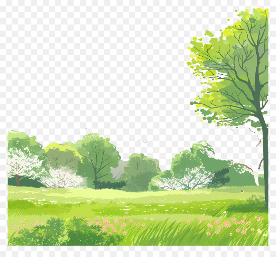 Fond De Printemps，Arbres PNG