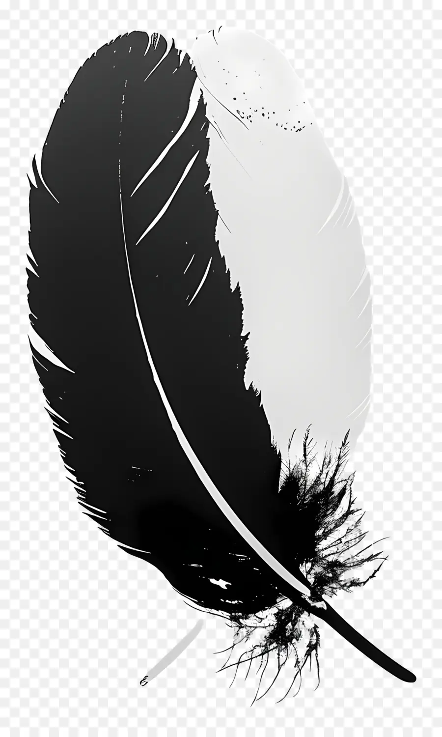 Plume，Plume Noire PNG