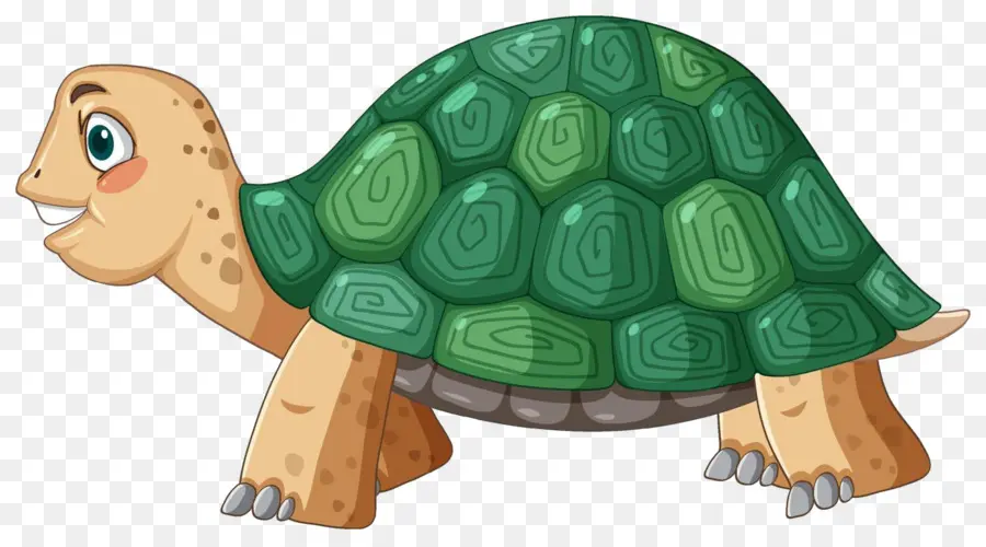 Tortue De Dessin Animé，Reptile PNG