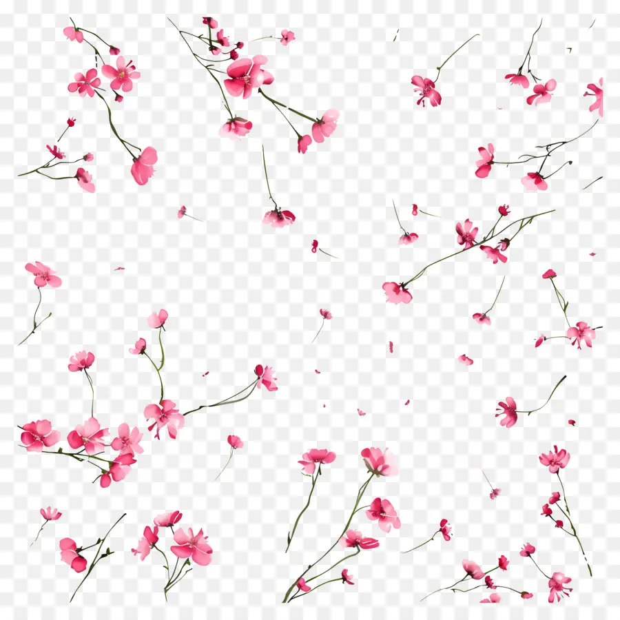 Fond De Fleurs，Fleurs Roses PNG