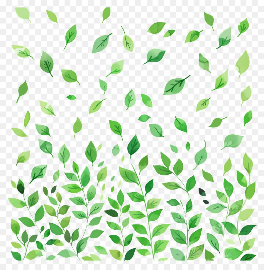 Fond Vert，Feuilles Vertes PNG