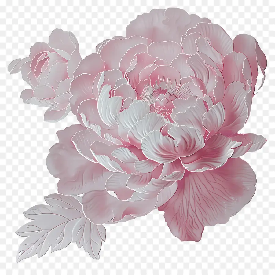 Pivoine Rose，Fleur De Pivoine PNG