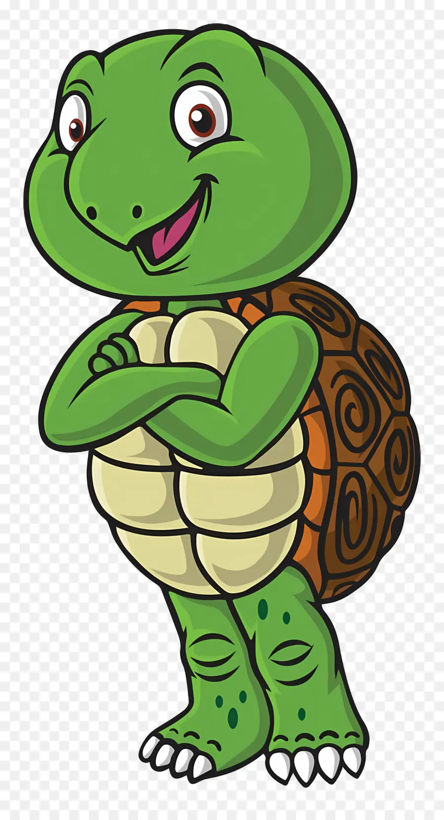 Tortue De Dessin Animé，Tortue Verte PNG