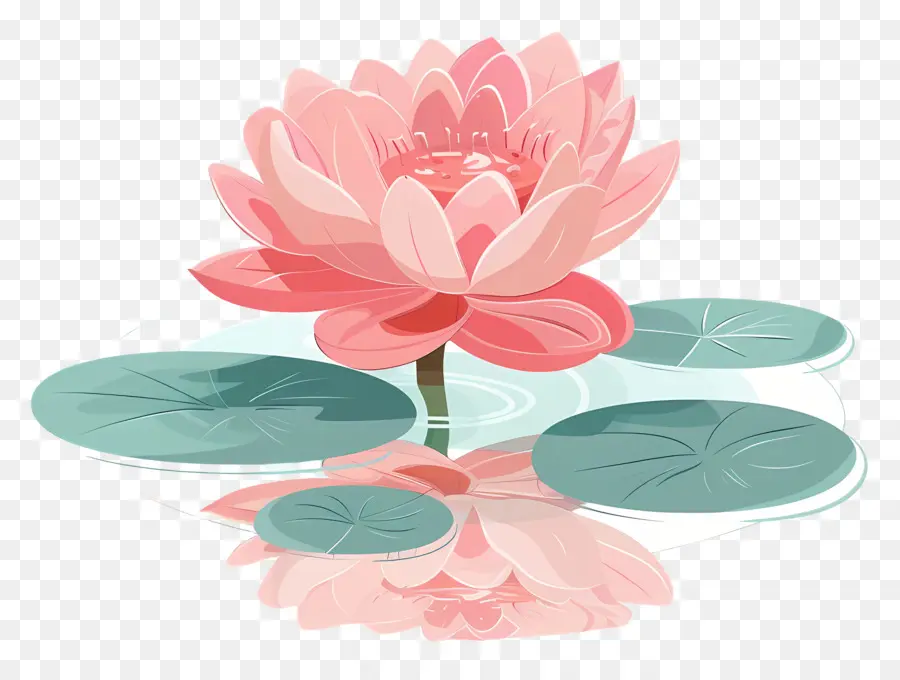 Étang De Lotus，Fleur De Lotus PNG