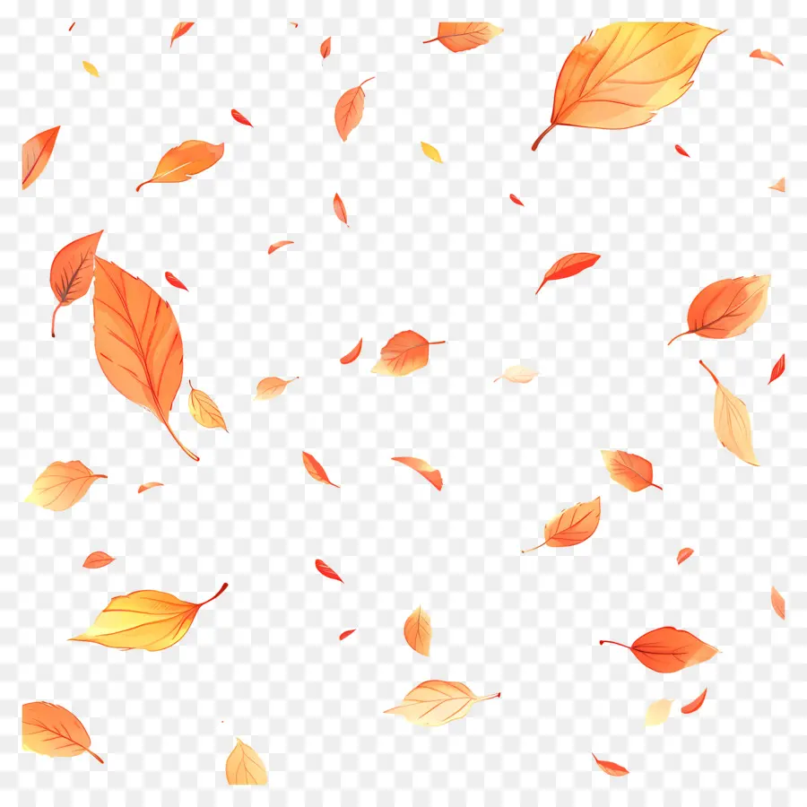 Fond D'automne，Feuilles PNG