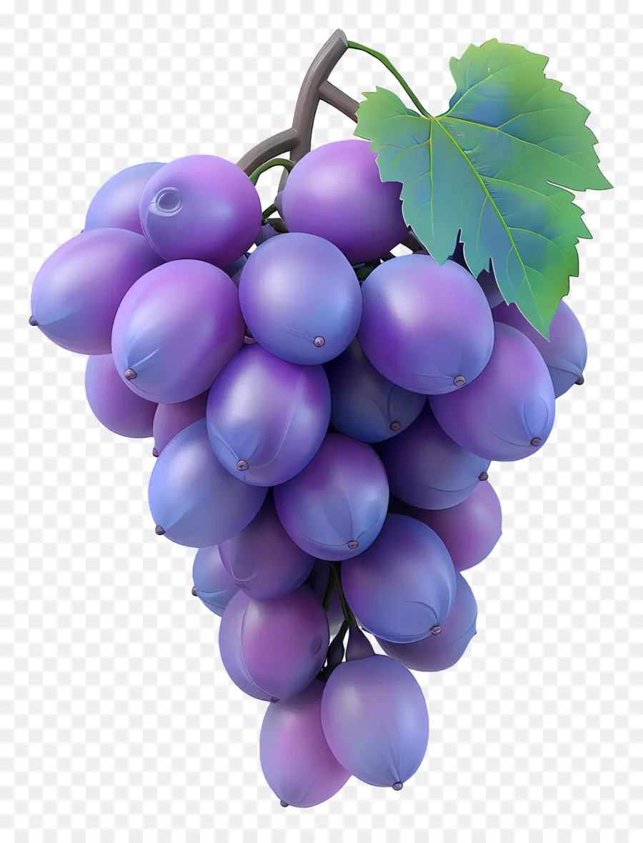 Grappe De Raisin，Raisins Violets PNG